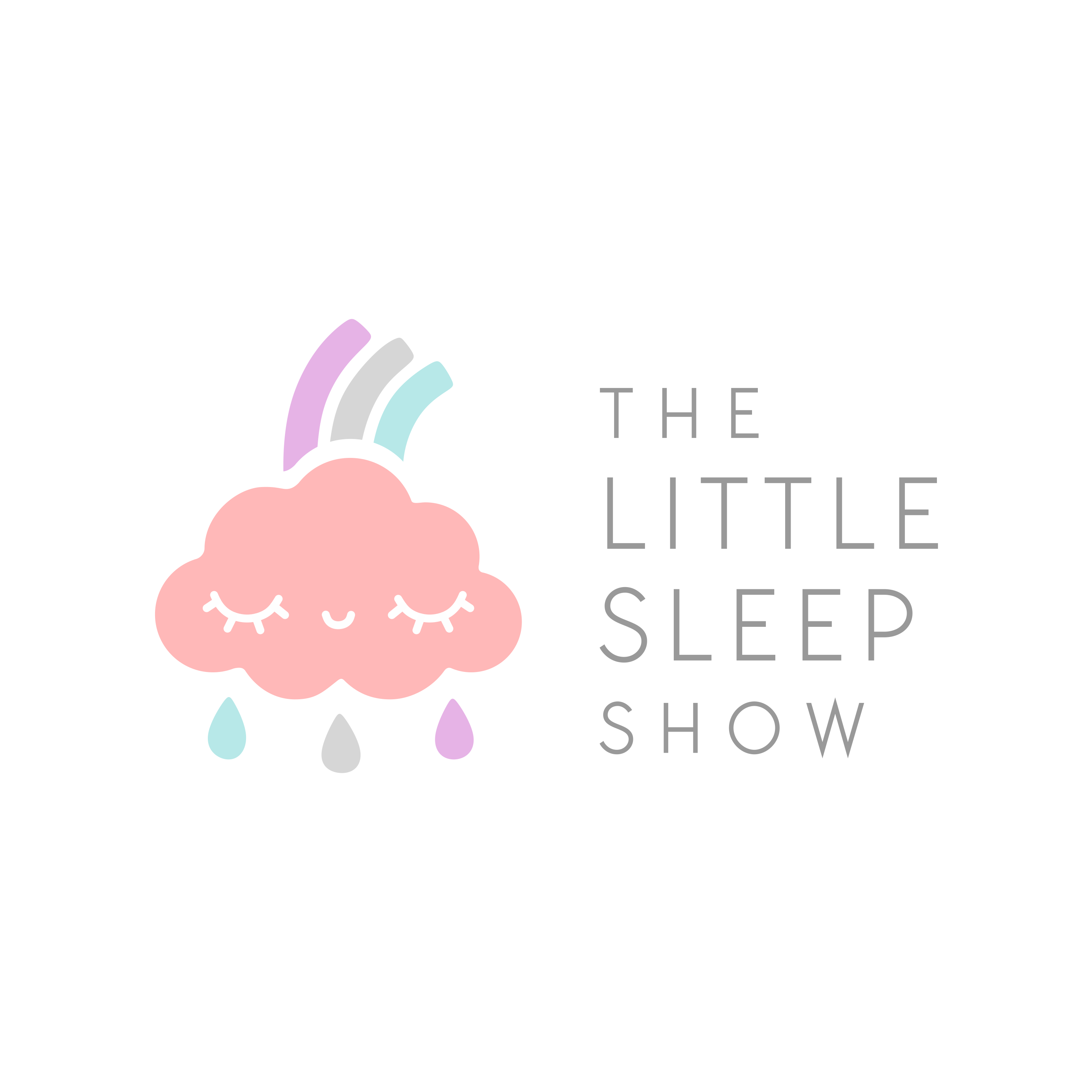 The Little Sleep Show