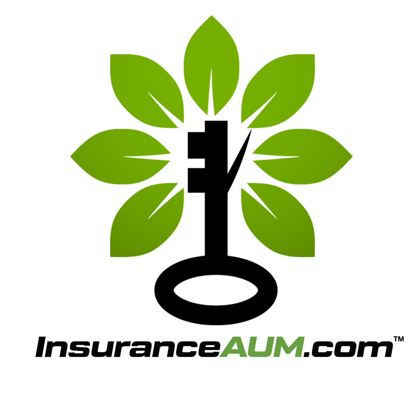 InsuranceAUM.com