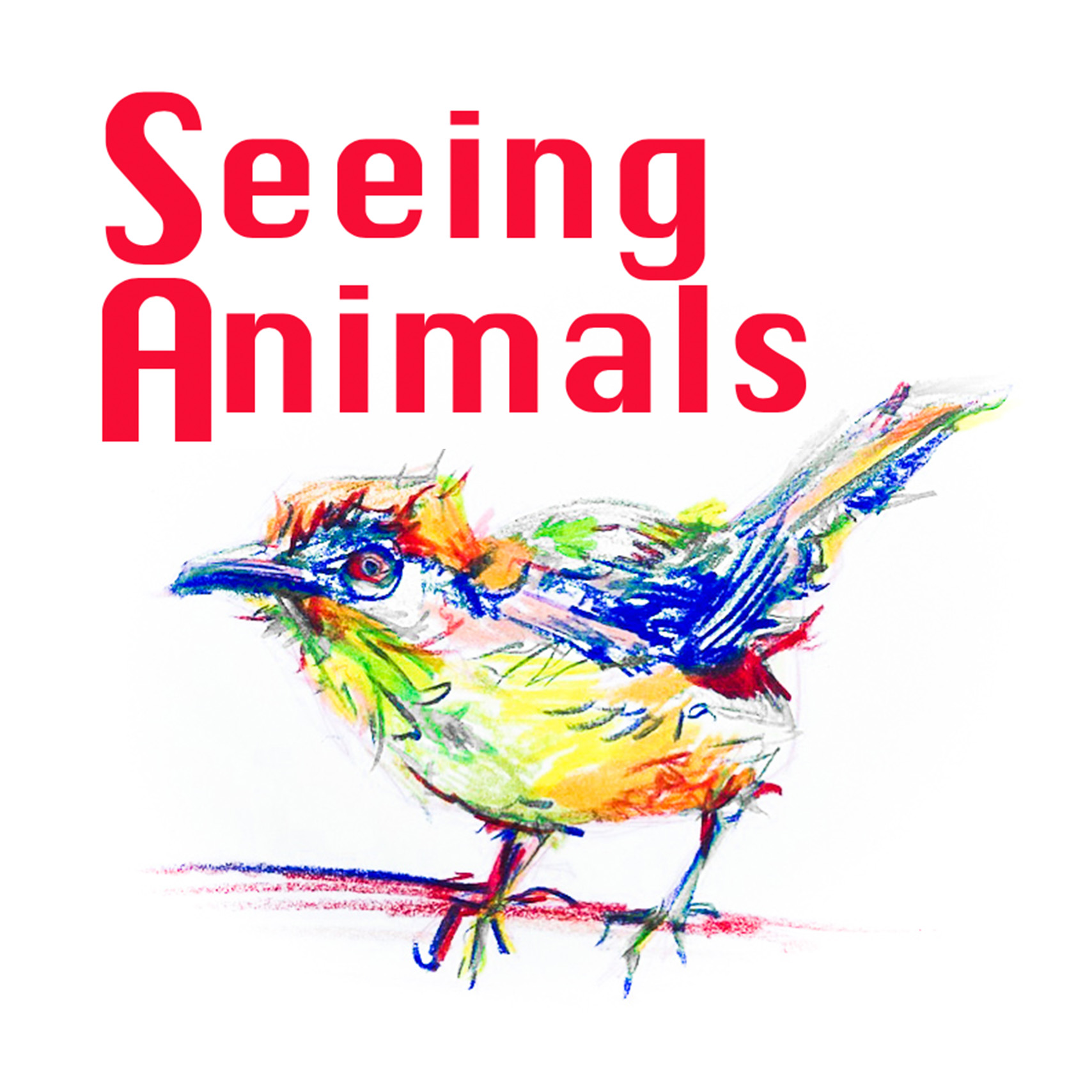 Seeing Animals