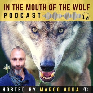 In The Mouth Of The Wolf PODCAST