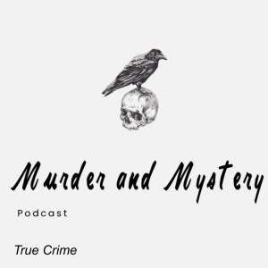 The Mysterious Case of Mr. McCade: Episode 12