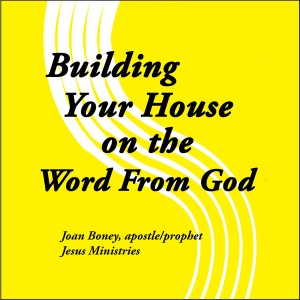 The evil in politics:  Can a Christian be involved in the hatred of political parties and in voting and approving worldly men?