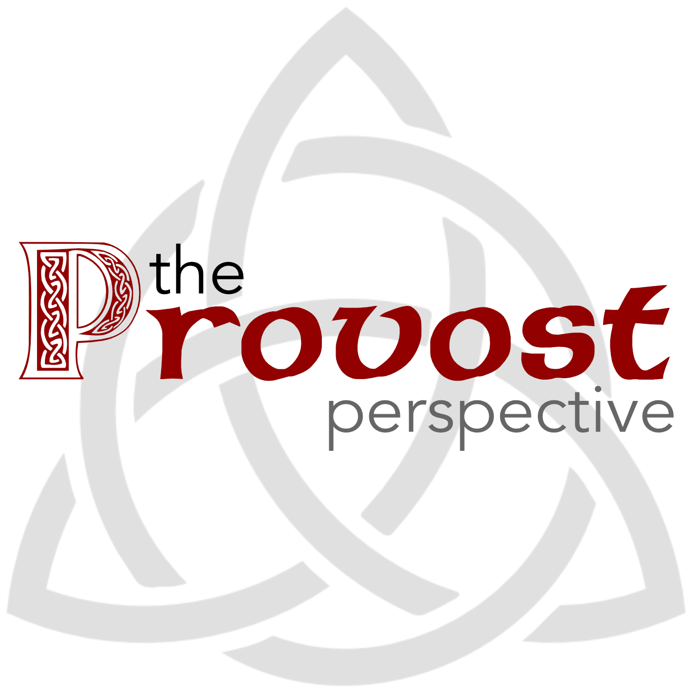 The Provost Perspective