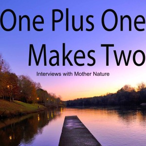 A Recap of Episodes 1-29: One Plus One Makes Two