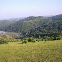 abderrahim