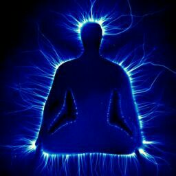 Tripleleafholistics