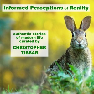 Informed Perceptions of Reality