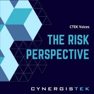 CTEK Voices: The Risk Perspective