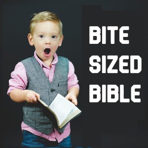 Bite Sized Bible