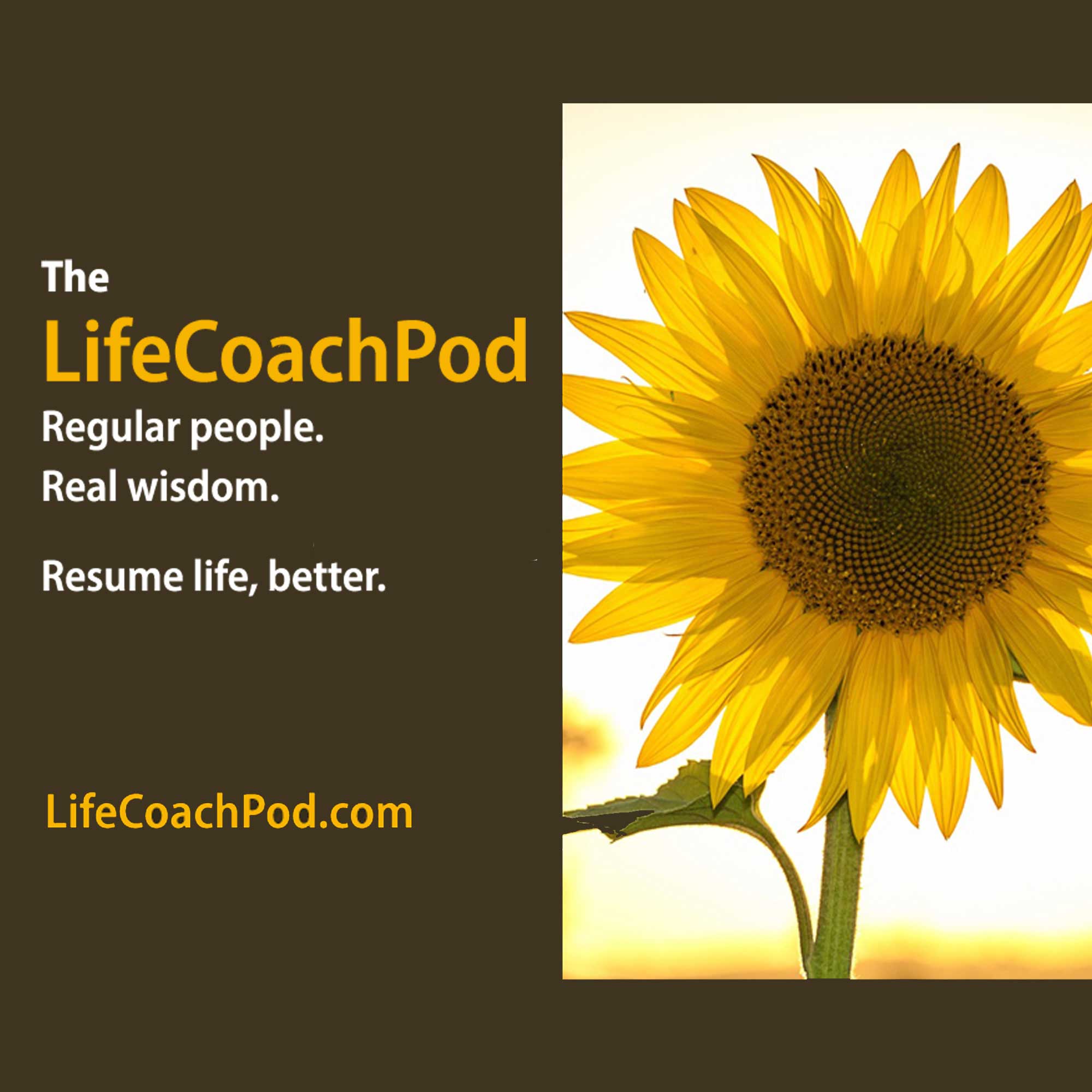 The Life Coach Pod | Jennifer Carole