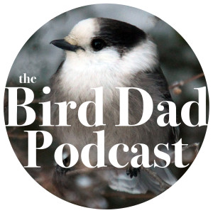 The Bird Dad Podcast