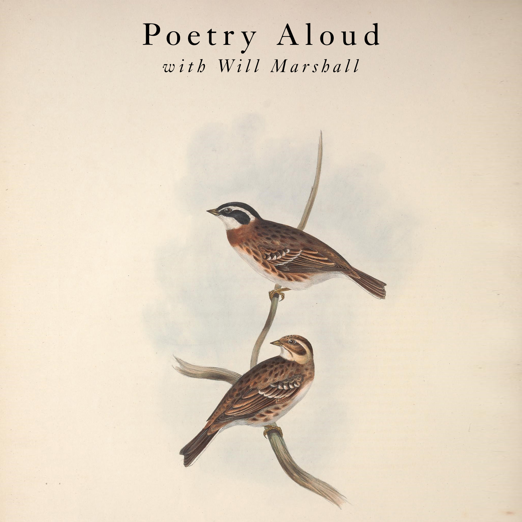 Poetry Aloud