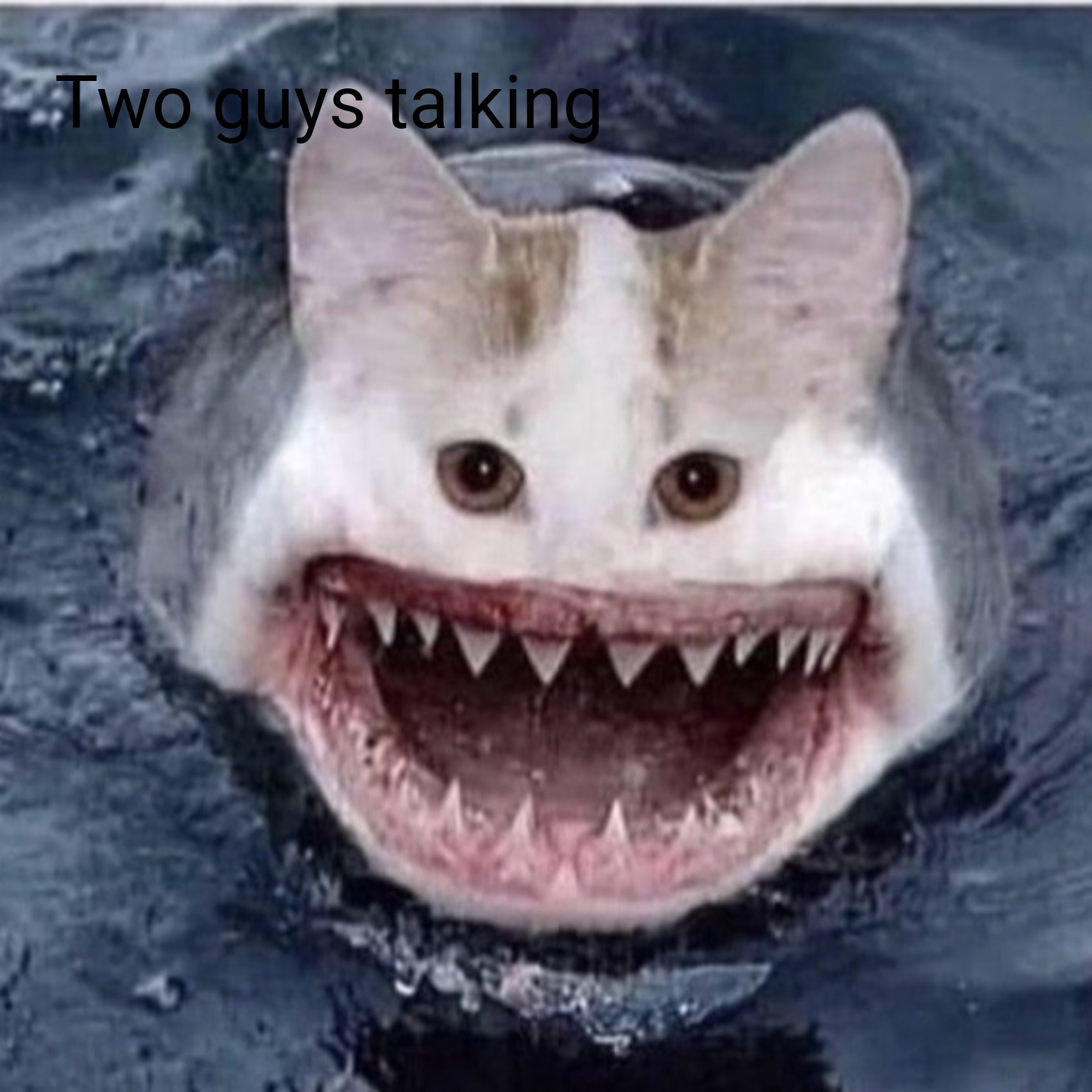 Two guys talking