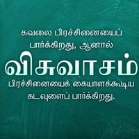 uzn569156547032086