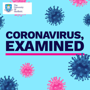 Coronavirus, Examined