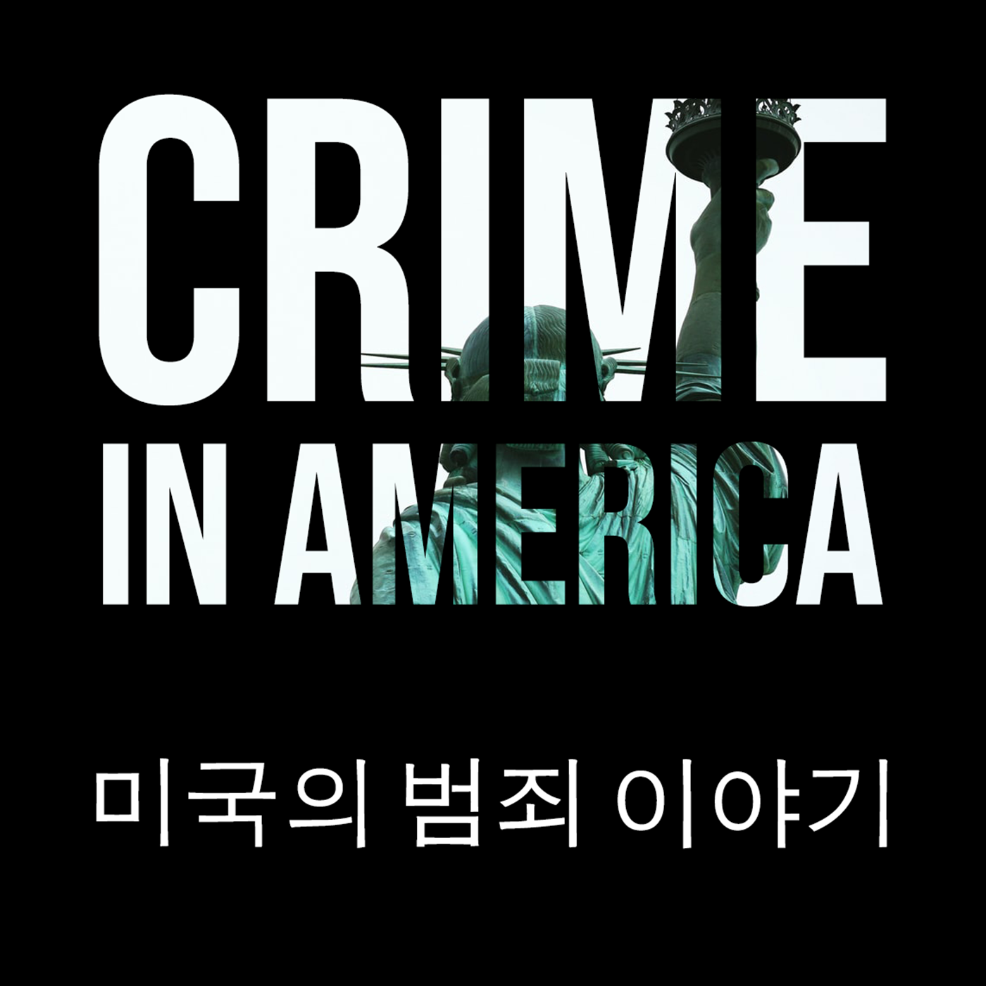 Crime In America