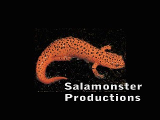 Salamonster Productions