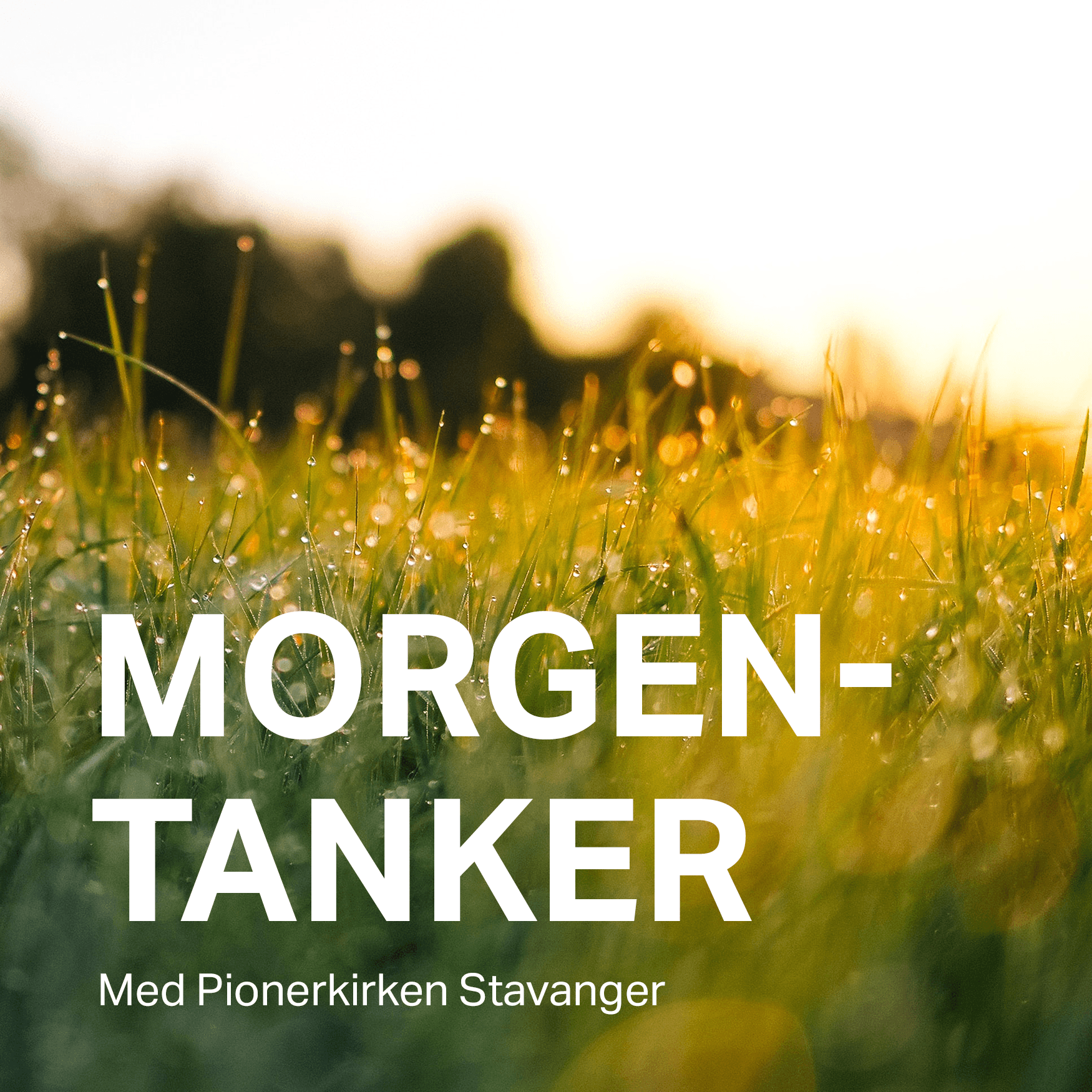 Morgentanker