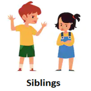 2 siblings
