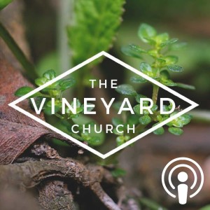 We Are Vineyard - Doing The Stuff / Naturally Supernatural