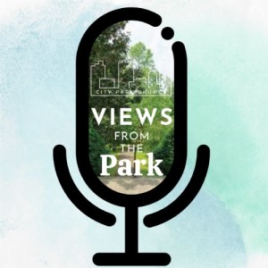 Views From The Park Podcast