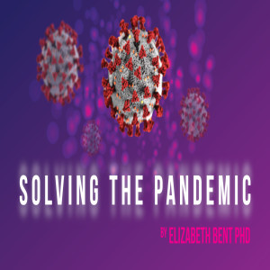 Solving The Pandemic