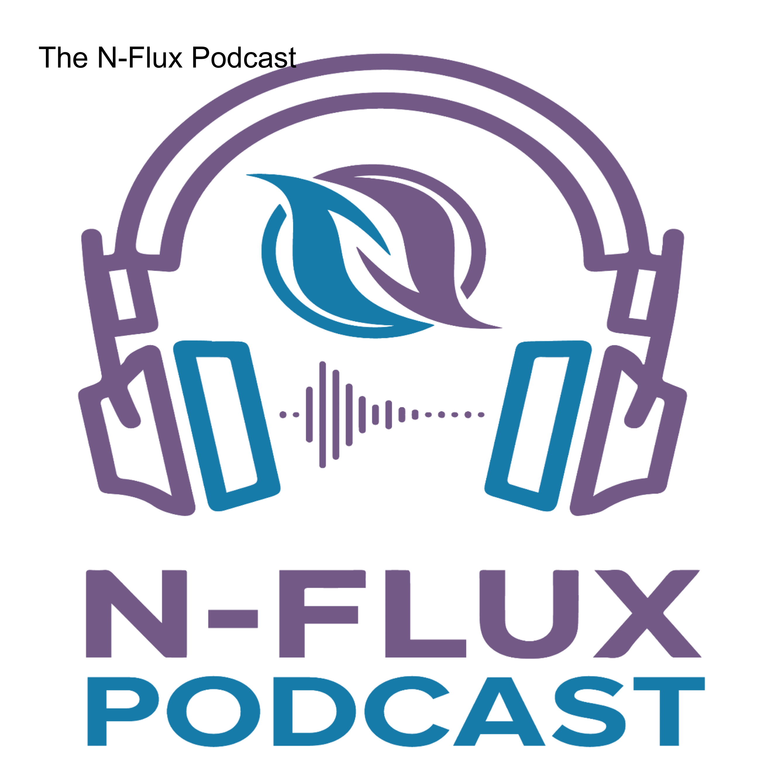 The N-Flux Podcast