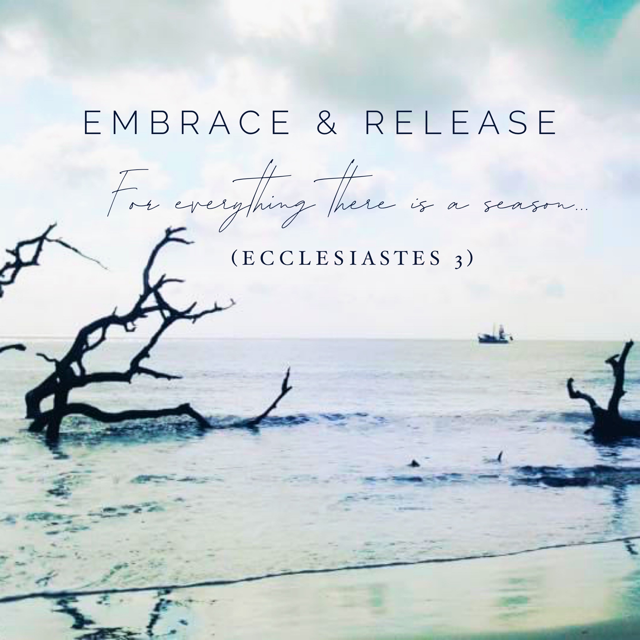 Embrace & Release Podcasts, Episode 1: Corona-cation Relfections, "Life Just Got a Reset Button"