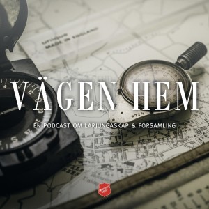 Vägen hem