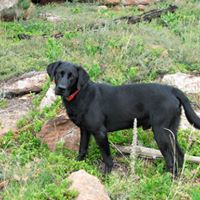 The gbradburyr's Podcast