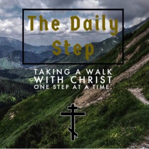 The Daily Step