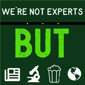 We're Not Experts... But