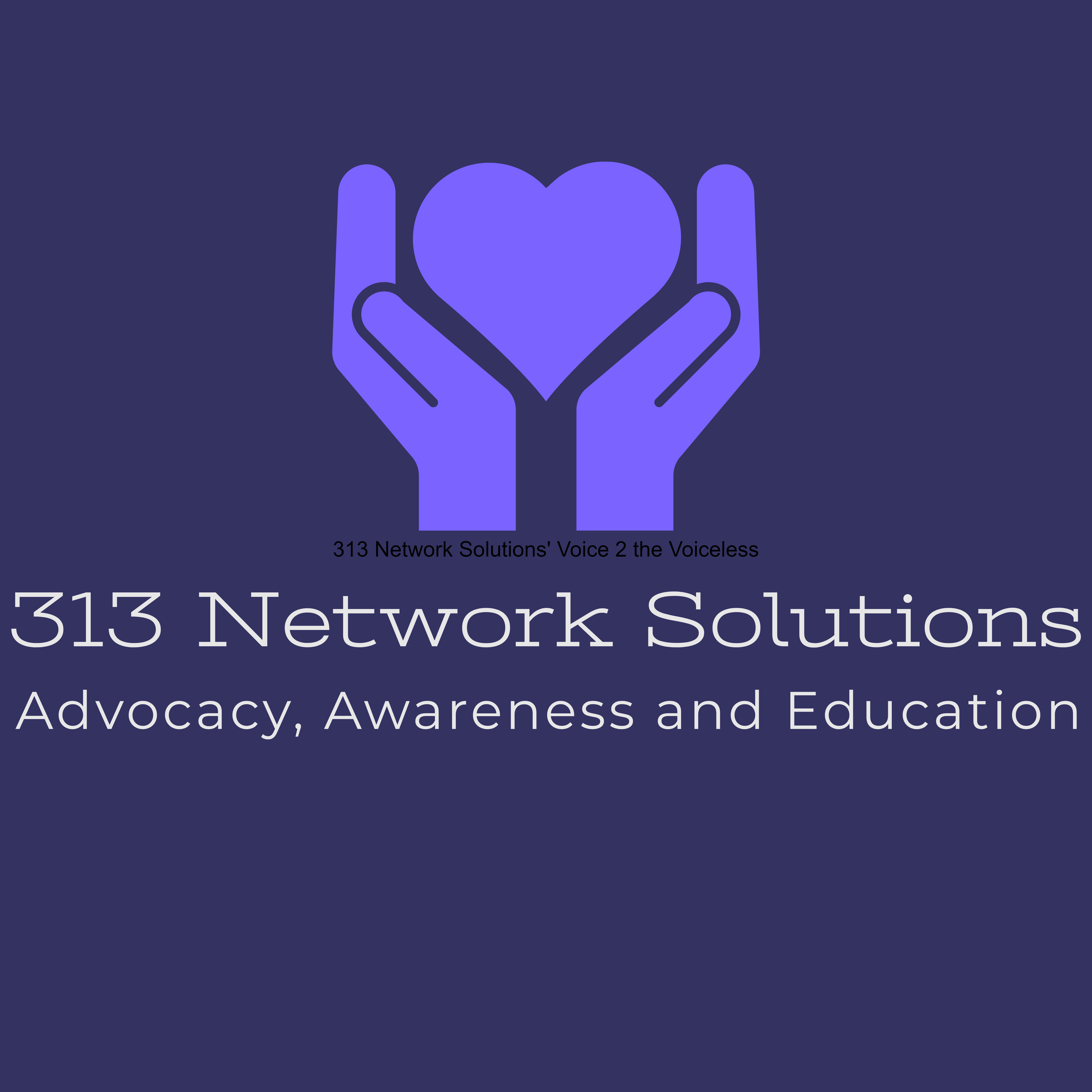 313 Network Solutions‘ Voice 2 the Voiceless