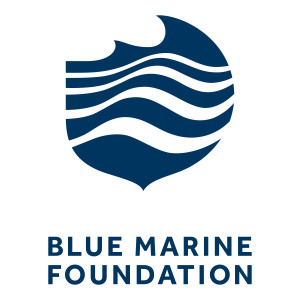 Blue Marine Foundation's Podcasts