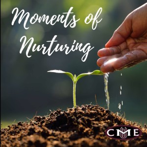 Moment of Nurturing - May 7, 2020