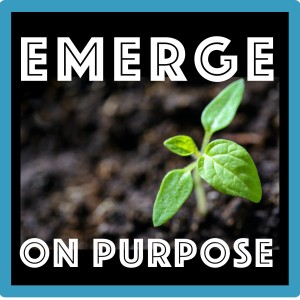 Emerge on Purpose: Mastering the Art of Sales Enablement