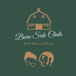 Barnside Chats 18- B & B session