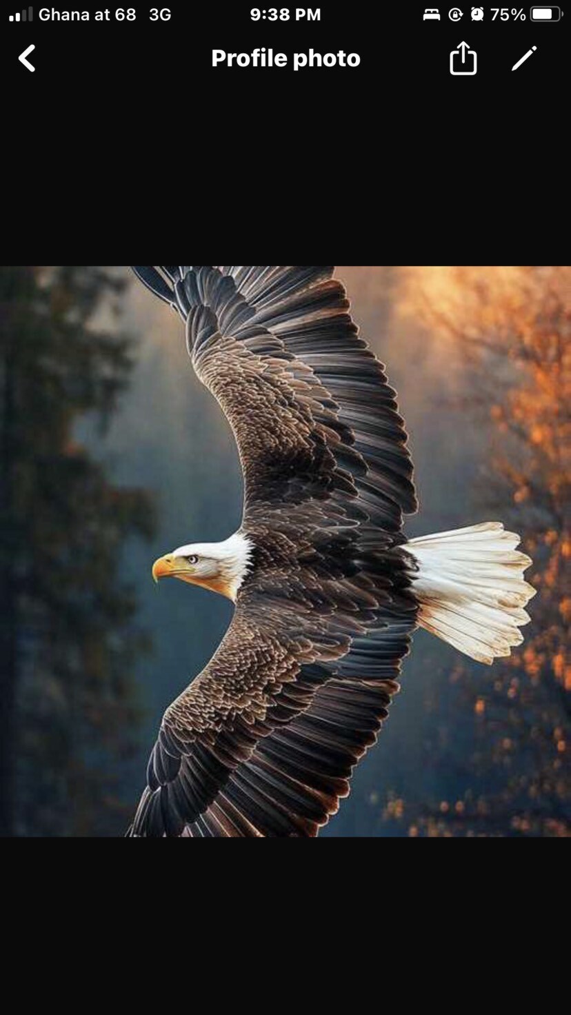 RUACH ELOHIM