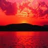 vinay