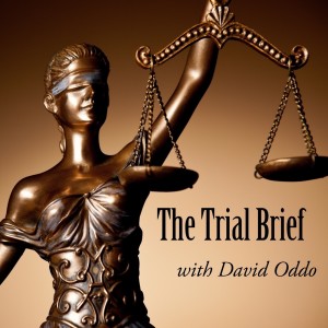 Game Changer: Timeline Presenter for Trial Attorneys w/ Stephen Haber