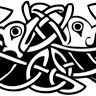DCCP