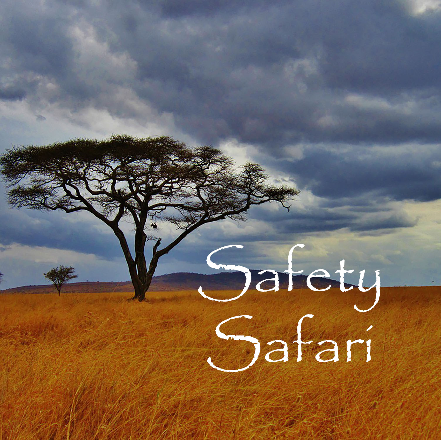 Safety Safari