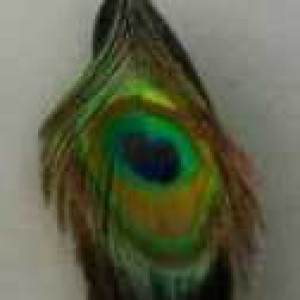 User Podcast Logo
