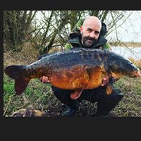 stevebardens1