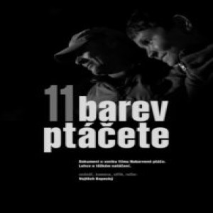 Ver 11 barev ptáčete (2020) Online Pelicula 【Completa】 Repelis.HD Espanol 2020