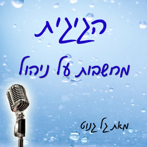 הגיגית - מחשבות על ניהול מאת גל גנוט