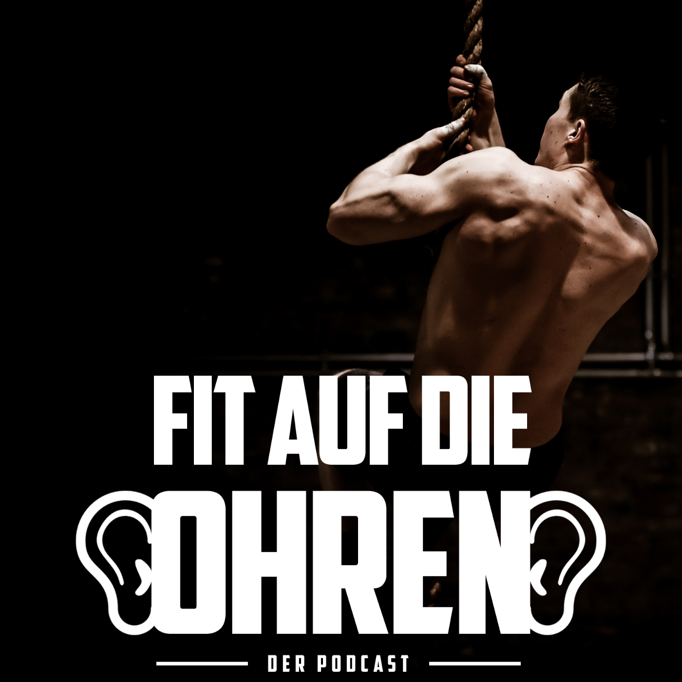  28 Warum Tue Ich Mir Das Eigentlich An Fit Auf Die Ohren 
