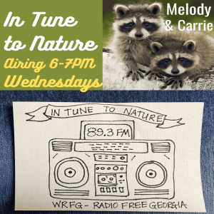 In Tune to Nature Podcast