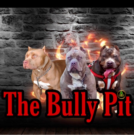 The Bully Pit Podcast