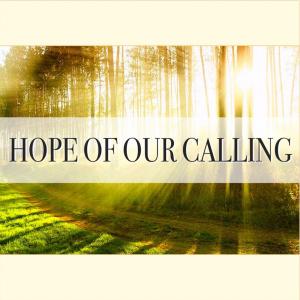 Oh So Hopeful 1 Peter 1:1-25 Chapter One - Review